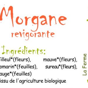 Infusion Morgane