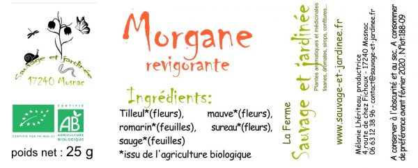 Infusion Morgane