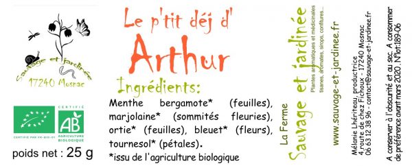 Infusion Arthur