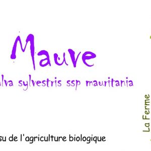 Mauve