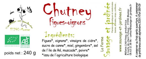 Chutney figues - oignons